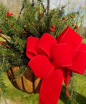 Holiday Cheer Hanging Basket 12"