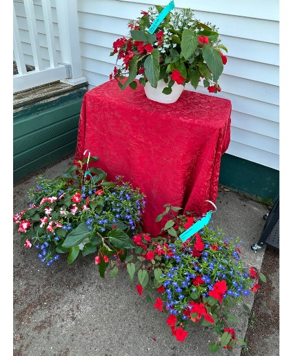 Hanging Baskets/ Shade Hanging Baskets