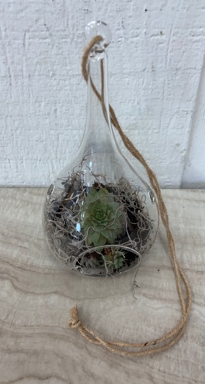 Hanging Glass Terrarium 