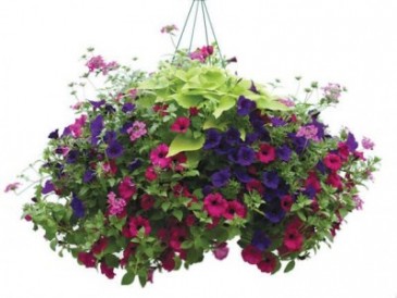 Hanging Patio Gardens Plants in Canon City, CO | TOUCH OF LOVE FLORIST AND WEDDINGS
