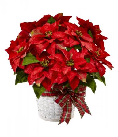 Happiest Holidays Poinsettia 