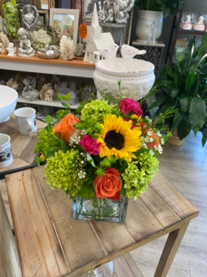 Happiness Blooms 