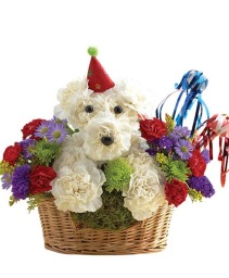 Happy Bark-Day To You Basket Arrangement