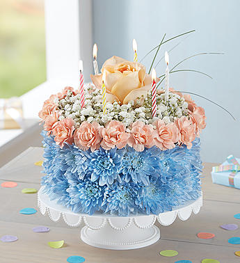 Happy Birthday Gator! Pale Orange, Pale Blue, Happy Birthday to you!  in Gainesville, FL | PRANGE'S FLORIST- Sara & Lilli V