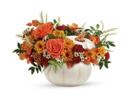 Sweet Pumpkin Fresh Floral