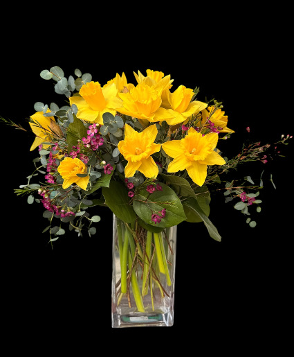 Happy Daffy Mix 