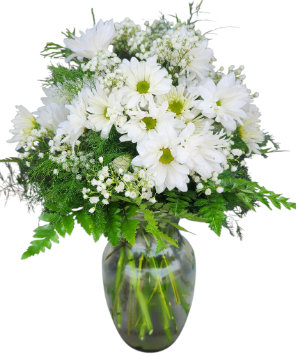 Happy Daisies  
