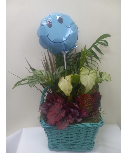 Happy face dish garden 