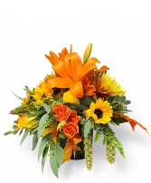 Happy Fall Y'all Fall 