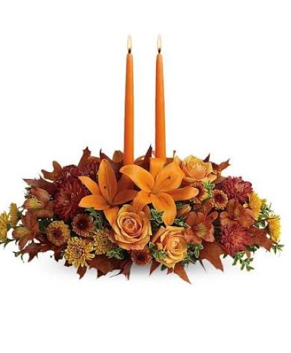 Happy Harvest  
