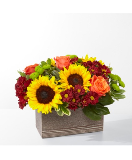 Happy Harvest Garden Arrangement