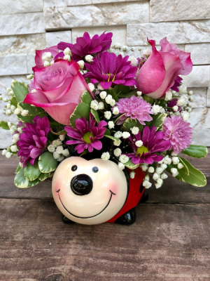Happy Ladybug Novalty