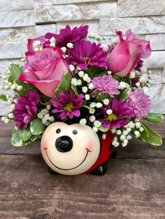 Happy Ladybug Novalty