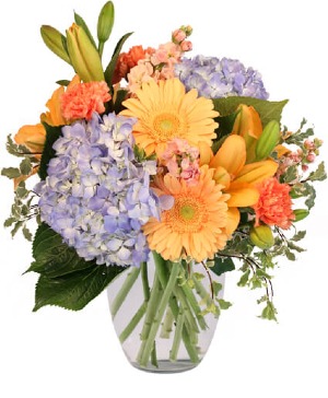 HAPPY FLOWERS  Fresh Flowers 