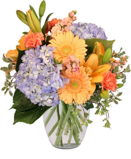 HAPPY FLOWERS  Fresh Flowers 
