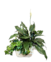 Harmony Green Basket 