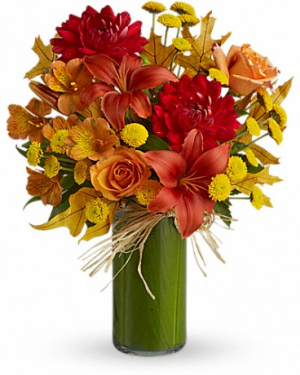 Harmony of Light T573-1 13.5"(w) x 16.5"(h)