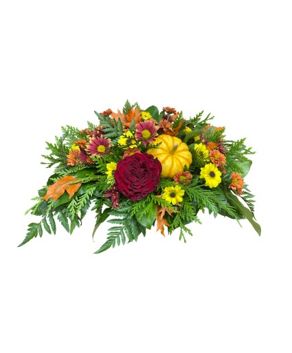 Harvest Blessings 