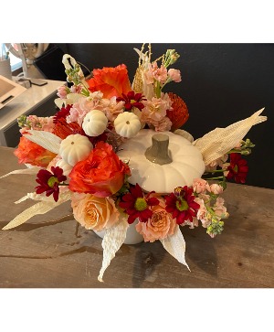 Harvest Blooms Fall