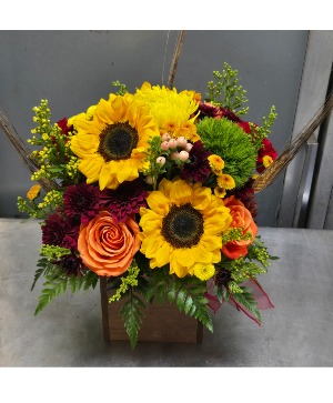 Harvest Box 65.95 70.95