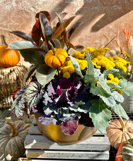 Harvest Dish Garden 