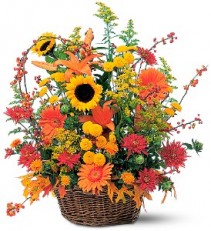 Harvest Garden Basket  