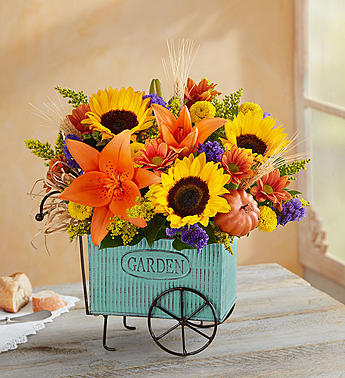  Garden Cart 