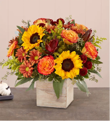Harvest Glow  in Ingram, TX | RUSTIC FLOWER SHOP & GIFTS