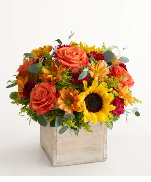Harvest Glow™ Bouquet 