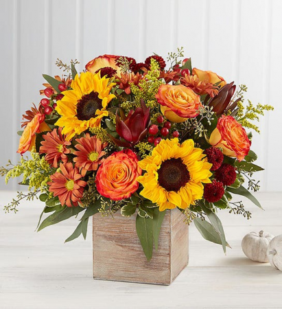 Harvest Glow Bouquet every day