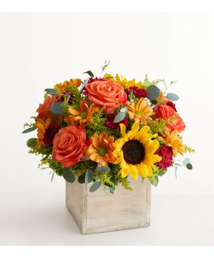 Harvest Glow Bouquet Fall Flowers