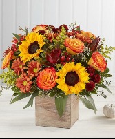 Harvest glow fall décor wooden cube