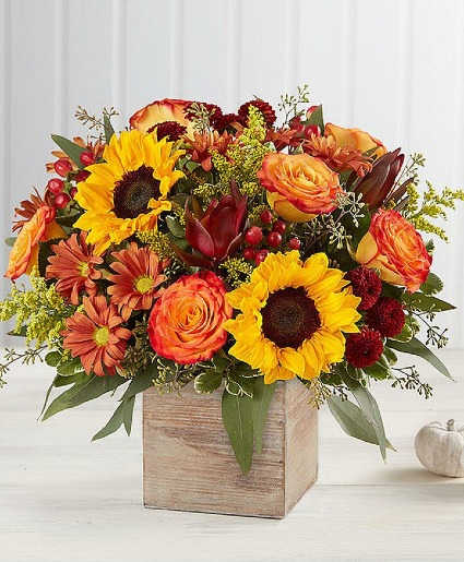 Harvest glow fall décor wooden cube