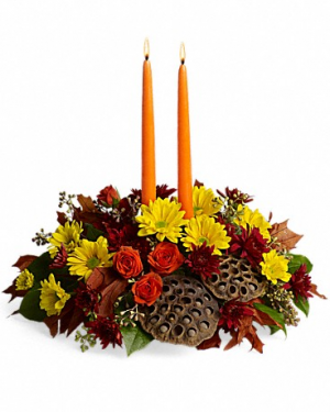 Harvest Glow T568-1 16.5"(w) x 15.5"(h)