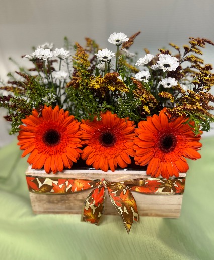 Harvest Homecoming 