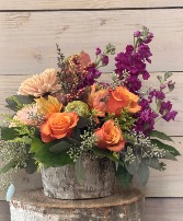 Harvest Hues  
