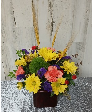 Harvest Joy 