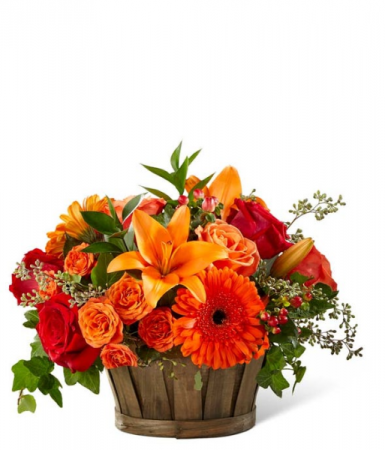 Harvest Memories Basket 