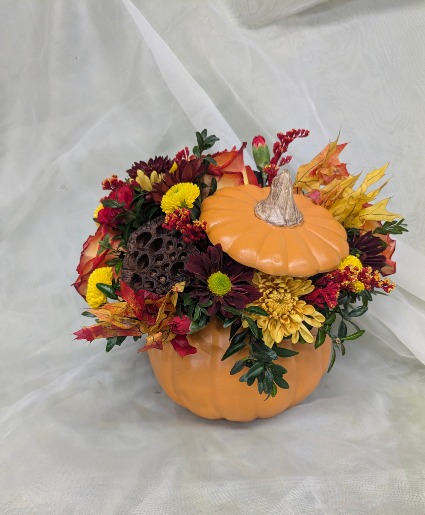 Harvest Pumpkin 