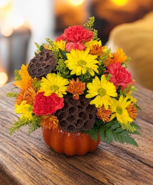 HARVEST PUMPKIN 