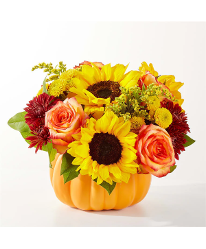 harvest pumpkin Floral Design