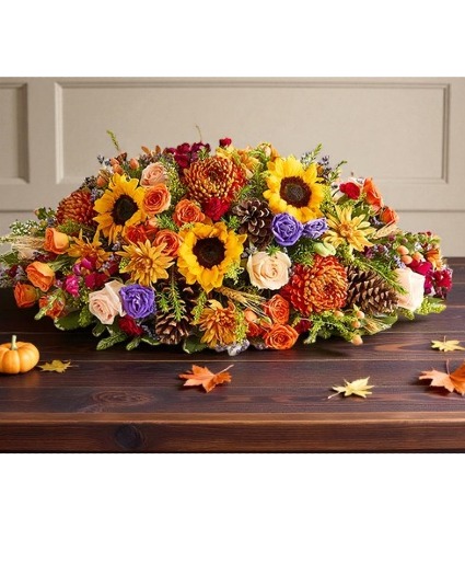 Harvest Splendor 