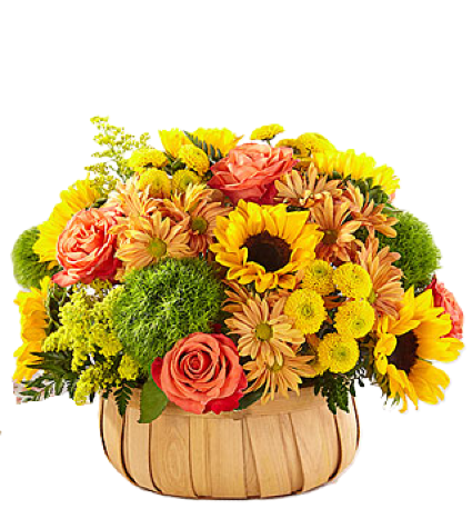 Harvest Sunflower Basket - S5334