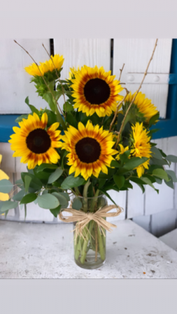 Harvest Sunshine 