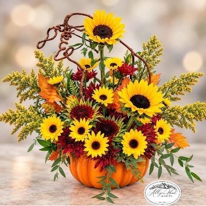 Harvest Sunshine Fall 2026