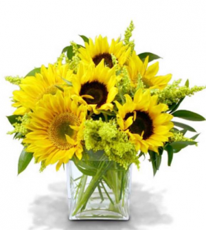 Fields of Sunflowers Sunflower Arrangment