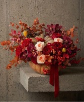 Harvest Velvet fall flowers
