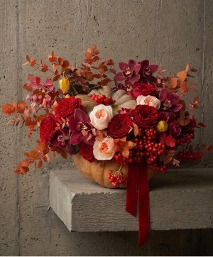 Harvest Velvet fall flowers
