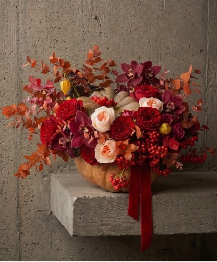 Harvest Velvet fall flowers
