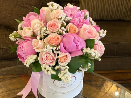 Hat box Arrangements 